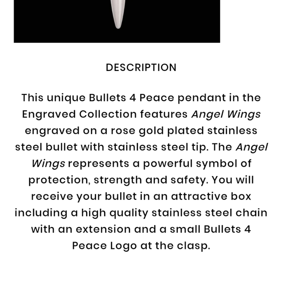 👀50% OFF👀 NIB 💙 Guardian Angel Wings Bullet Necklace - Picture 5 of 6